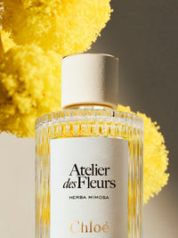 BASEPLUS_EAU DE PARFUM