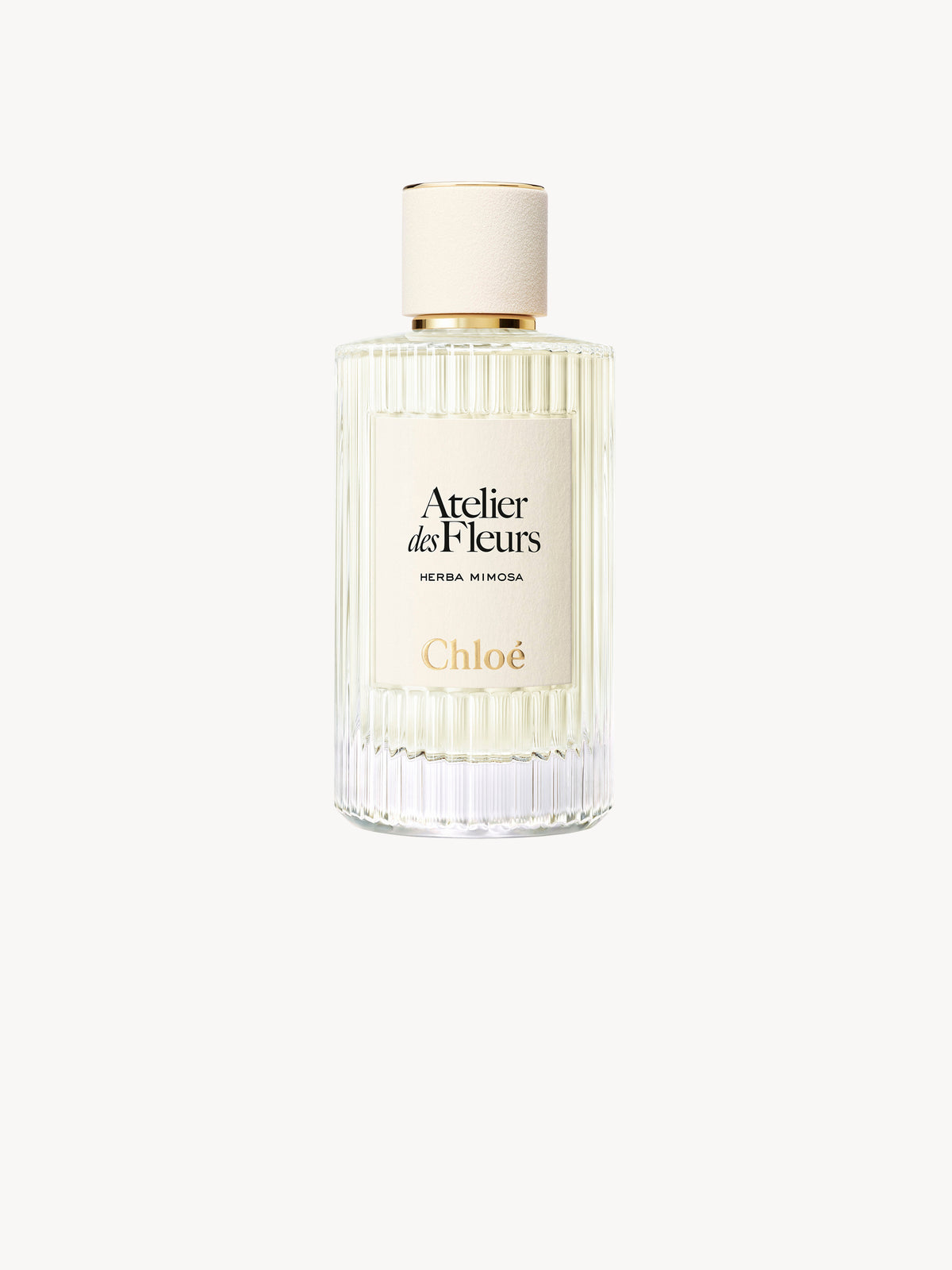 BASEPLUS_EAU DE PARFUM