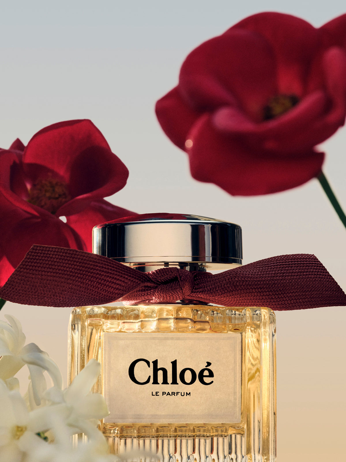 BASEPLUS_EAU DE PARFUM  30ML