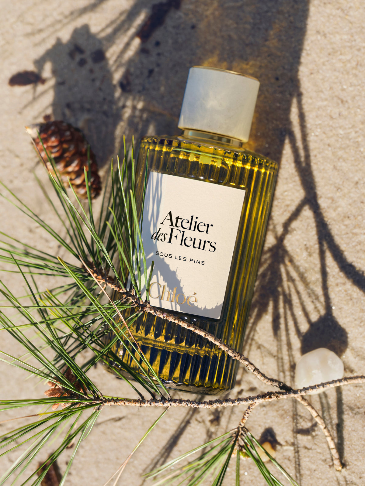 BASEPLUS_EAU DE PARFUM