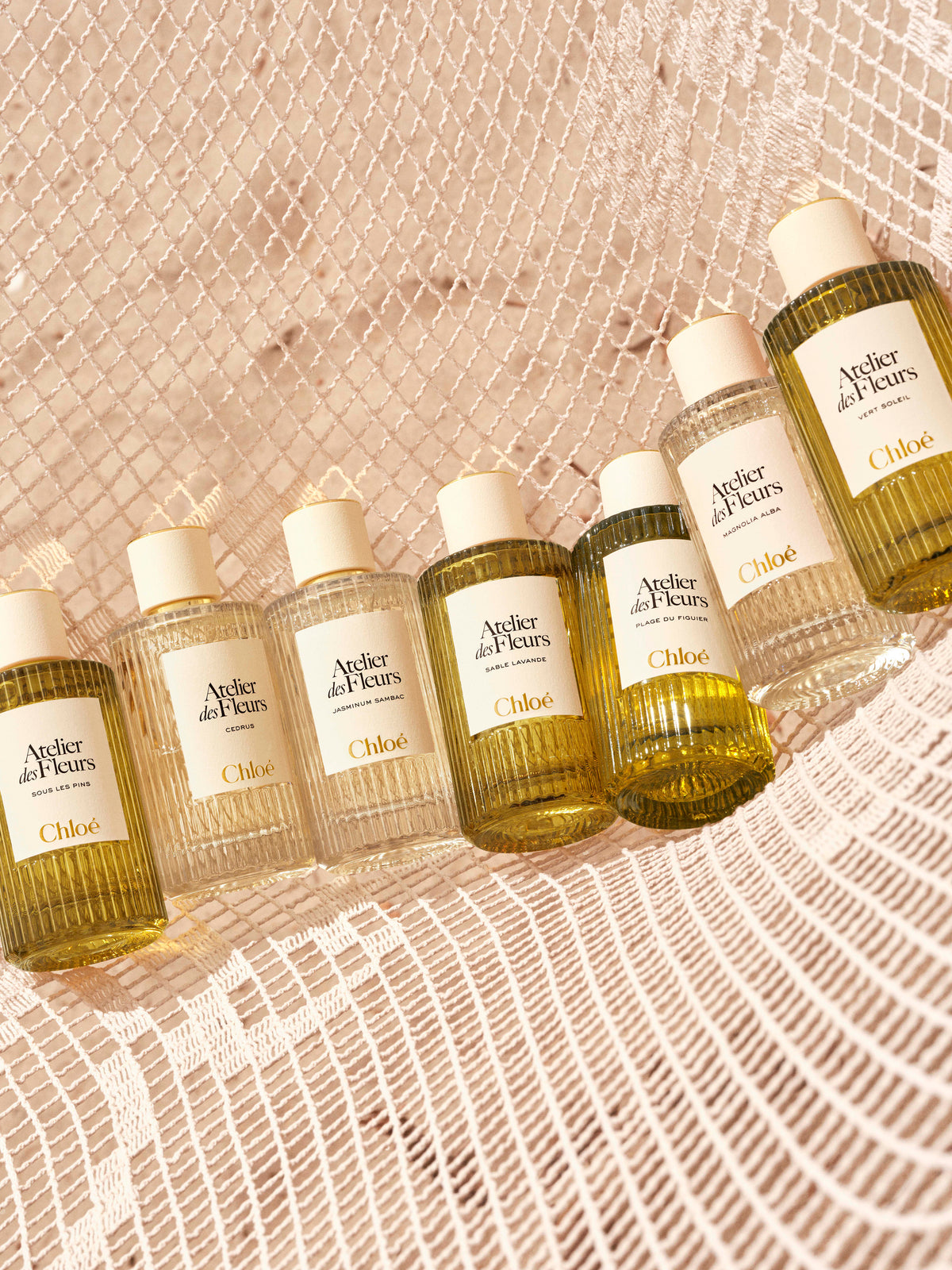 BASEPLUS_EAU DE PARFUM