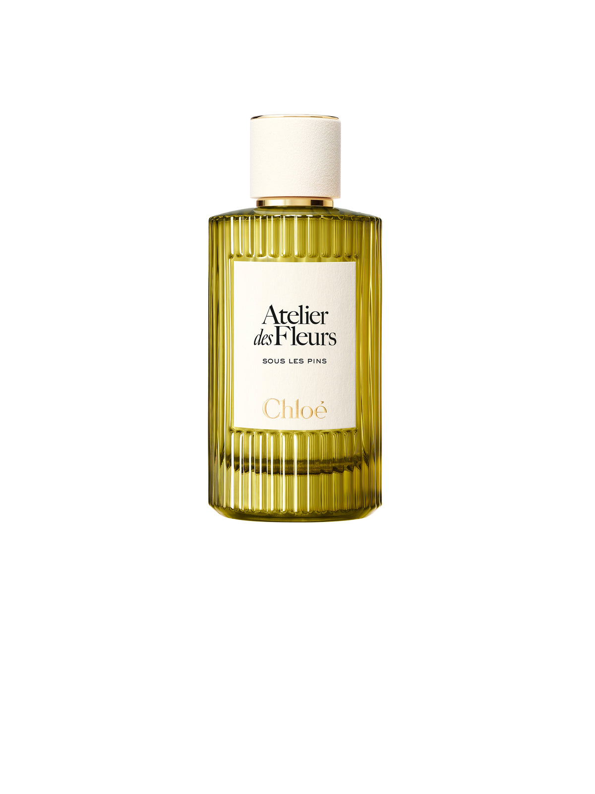 BASEPLUS_EAU DE PARFUM