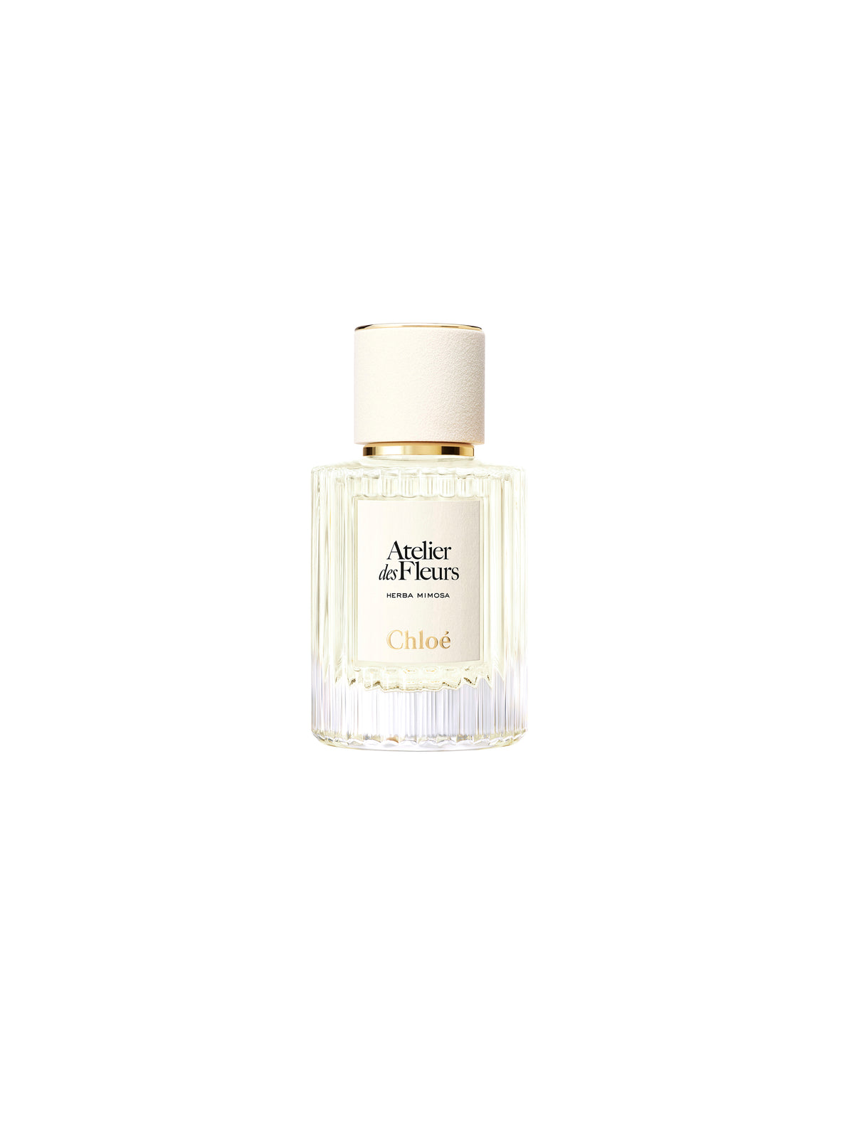 BASEPLUS_EAU DE PARFUM  50ML