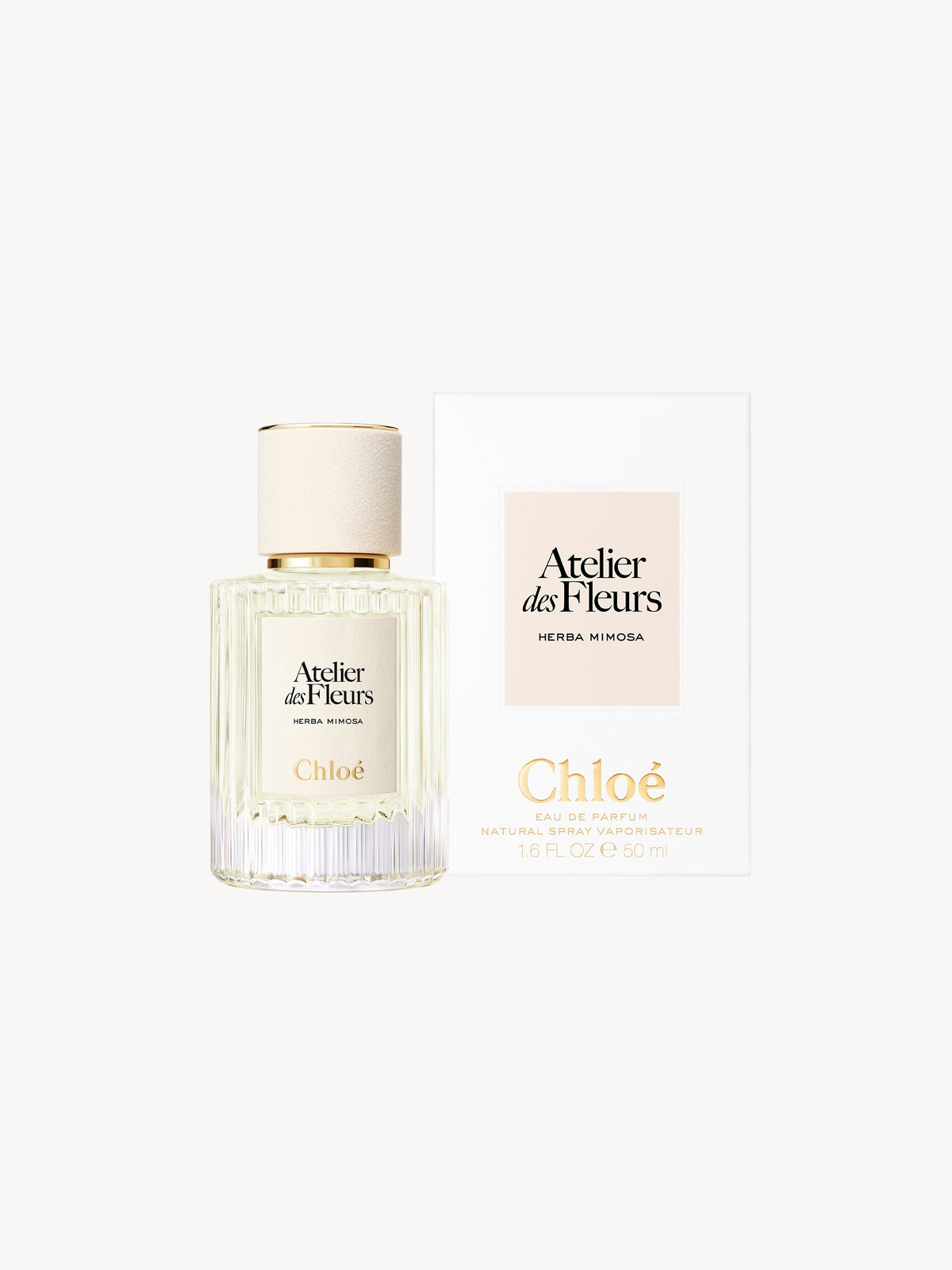 BASEPLUS_EAU DE PARFUM  50ML