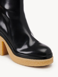 Black HEEL ANKLE BOOTS - Black