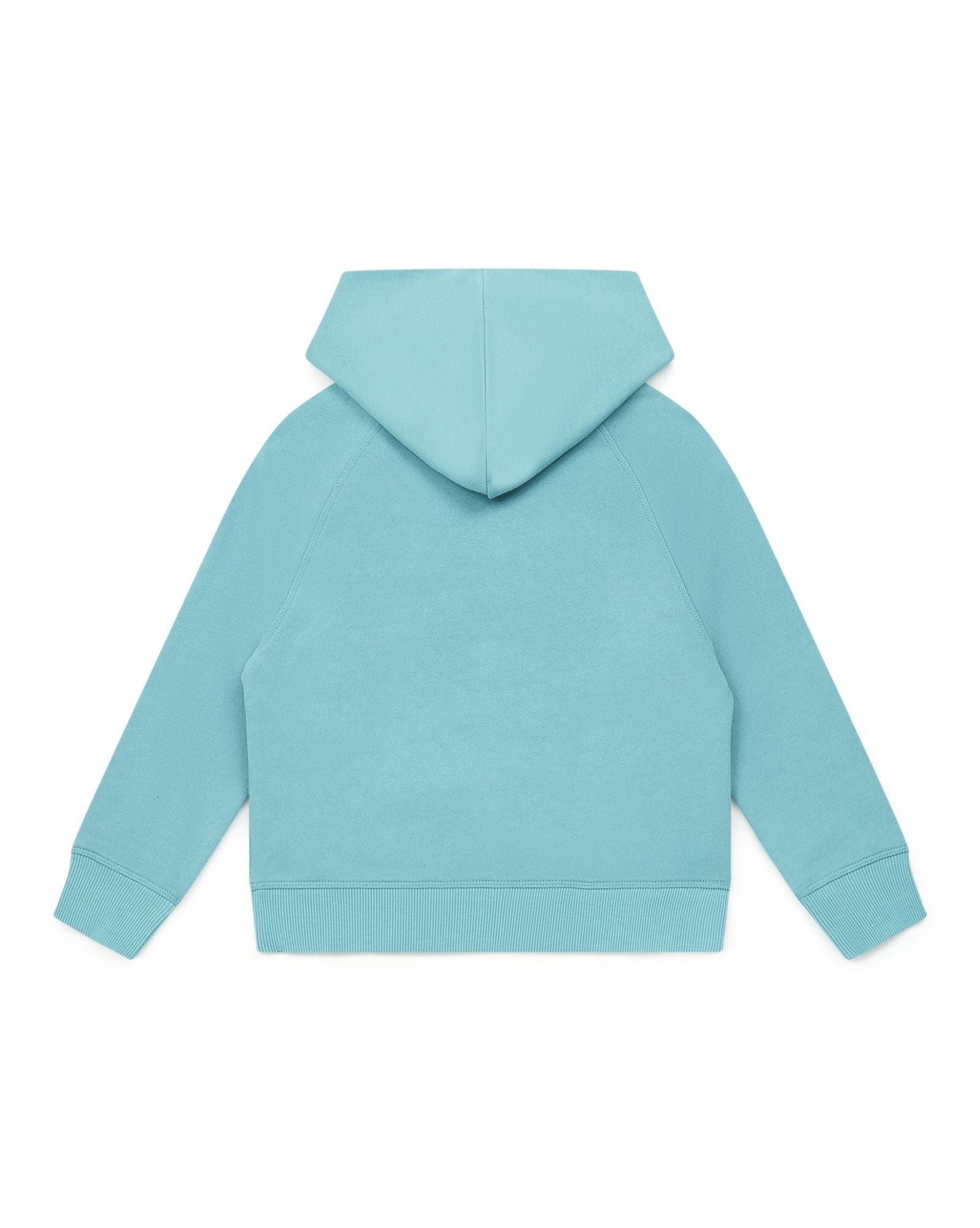 Sweatshirt à capuche - Bleu Merveilleux