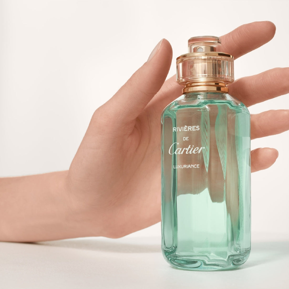 Rivières de Cartier Luxuriance