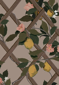 Lot de 3 rouleaux Treillis - Rose
