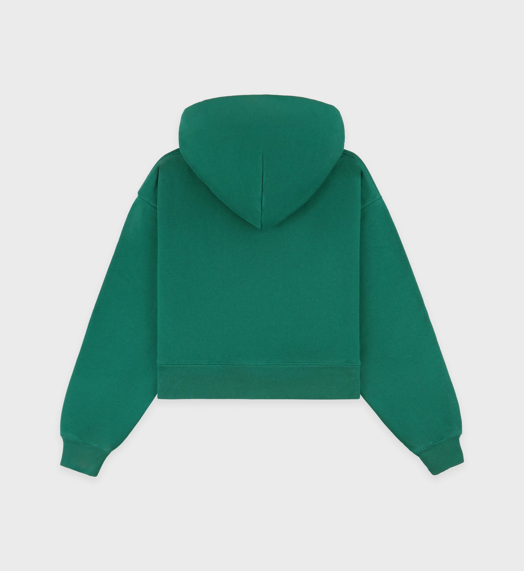 Sweat à capuche Crown Tennis à broderie - Alpine