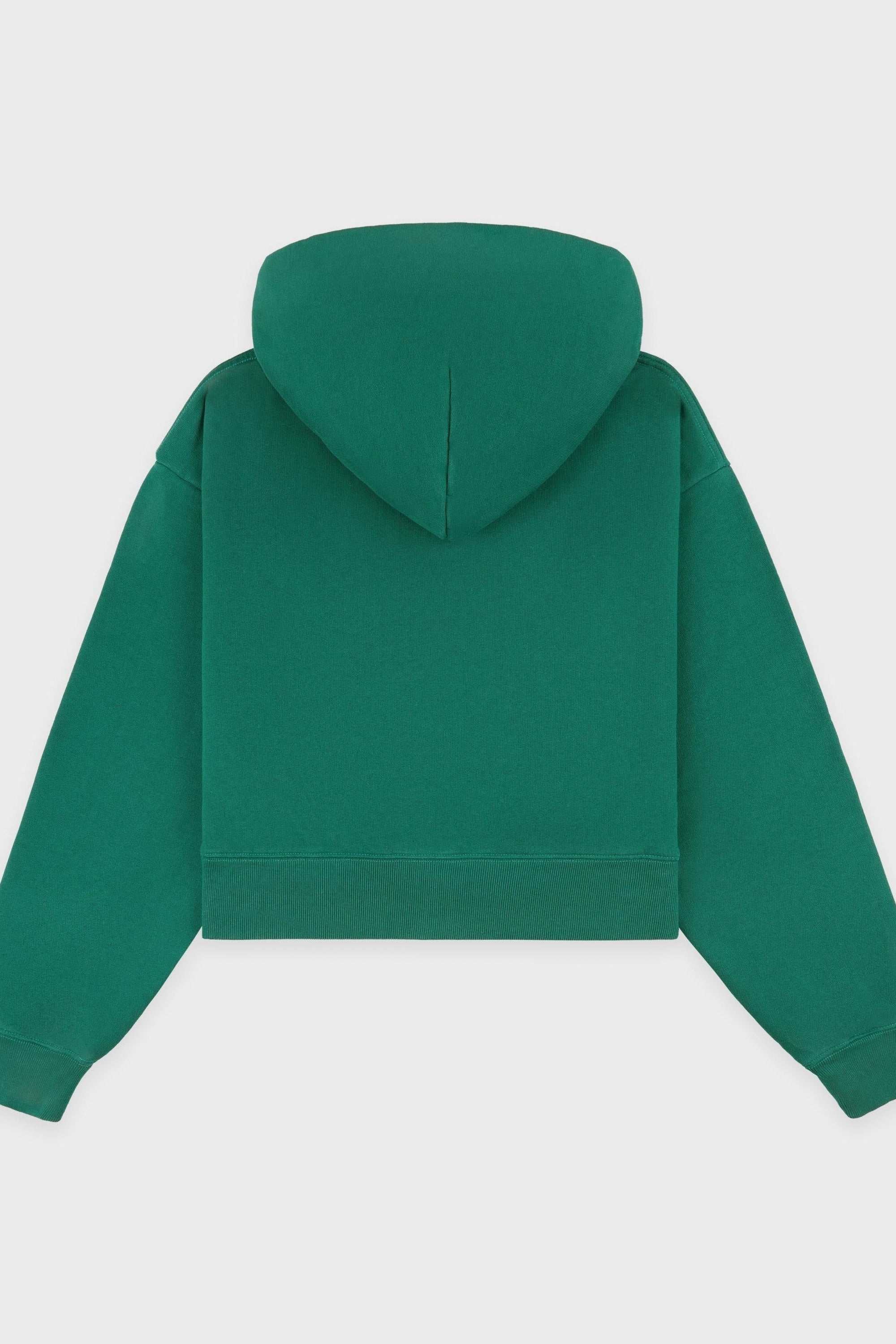 Sweat à capuche Crown Tennis à broderie - Alpine