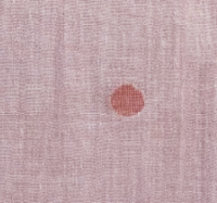 ZNOSTOCK_PINK SHIRT JULETTE - Pink
