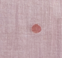 ZNOSTOCK_PINK SHIRT JULETTE - Pink