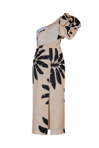 Black / Coyote Dance Dress