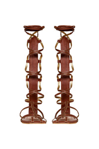 Brown / Baquiana Gladiator