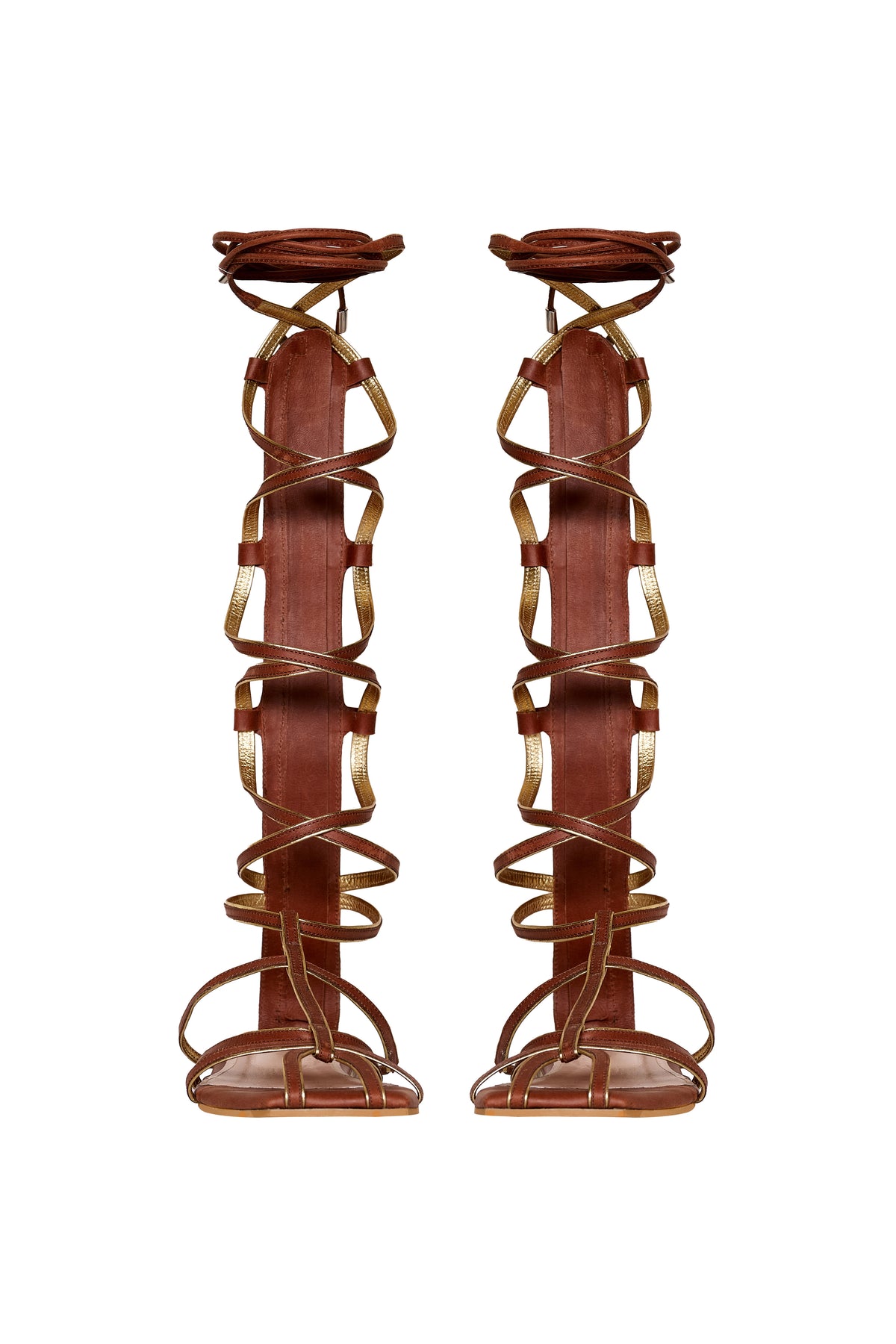 Brown / Baquiana Gladiator
