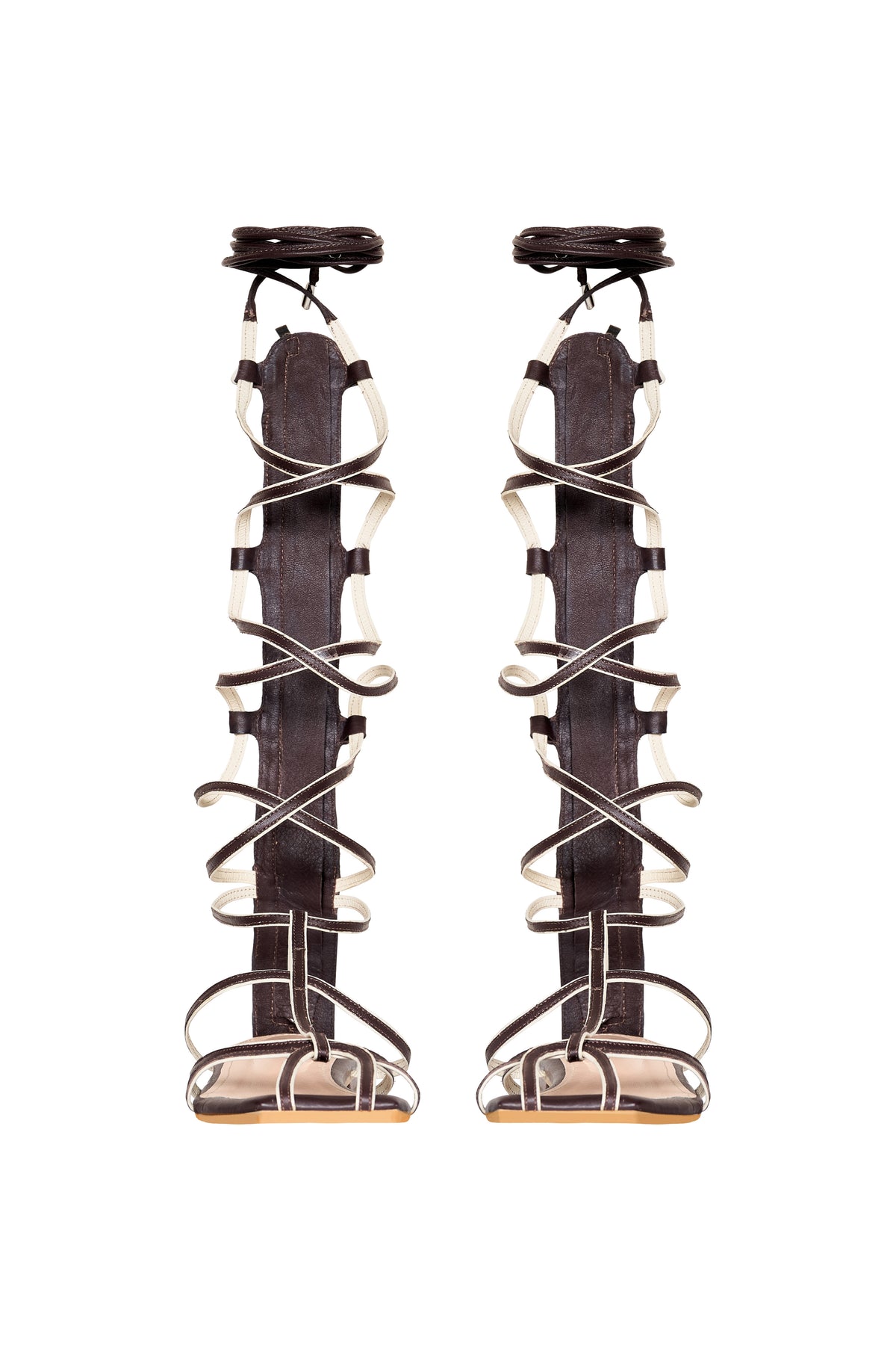 Brown / Baquiana Gladiators In Chocolate
