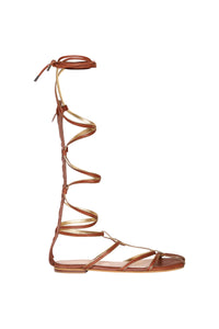 Brown / Baquiana Gladiator