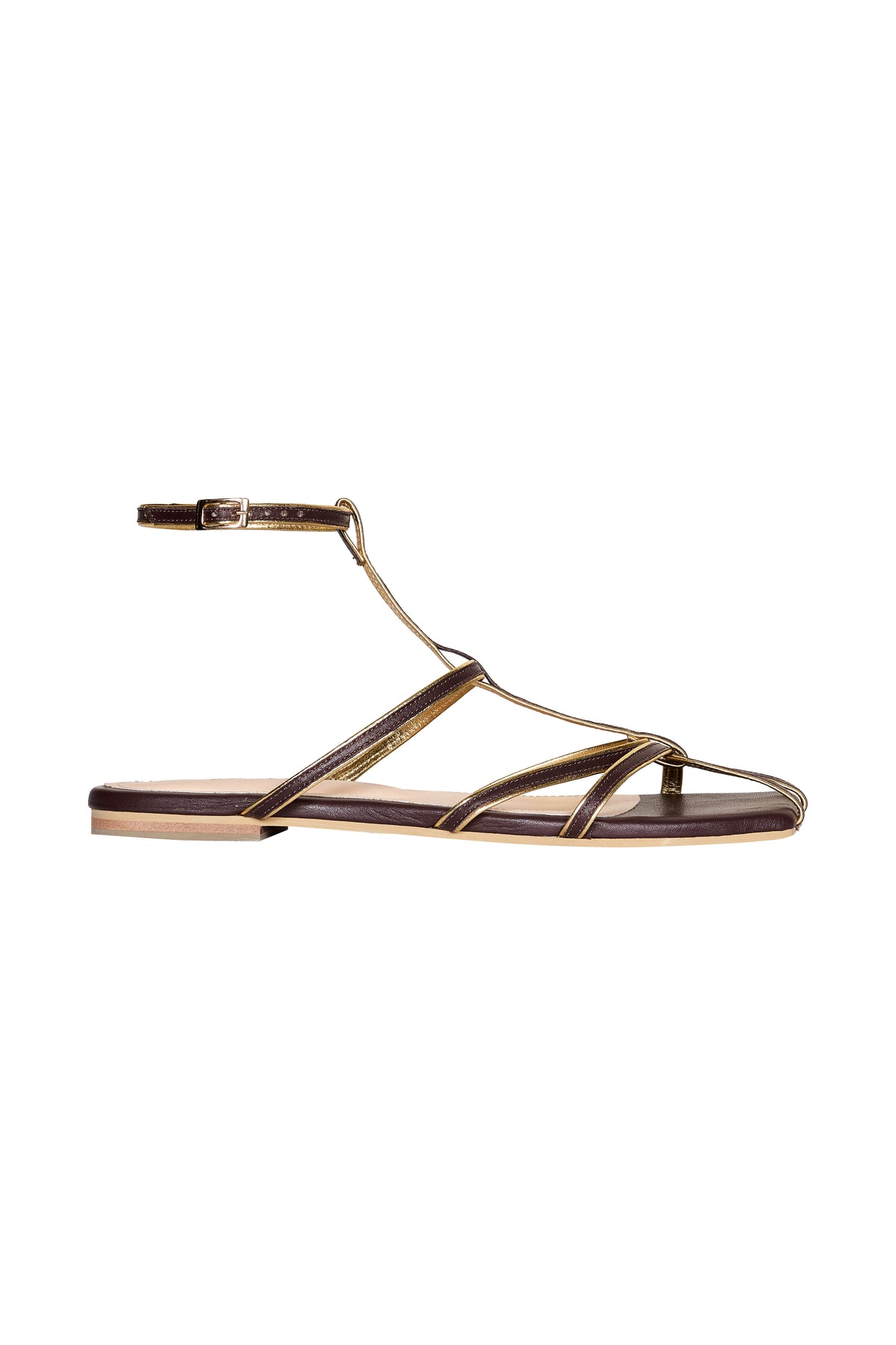 Brown / Conquistadora Sandals In Chocolate