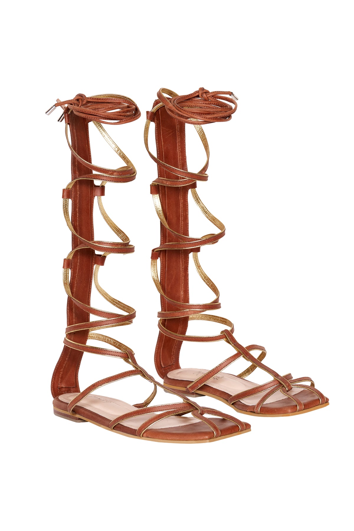 Brown / Baquiana Gladiator