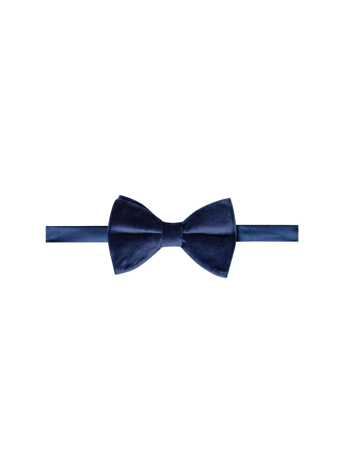 Velvet bow tie - Saphir