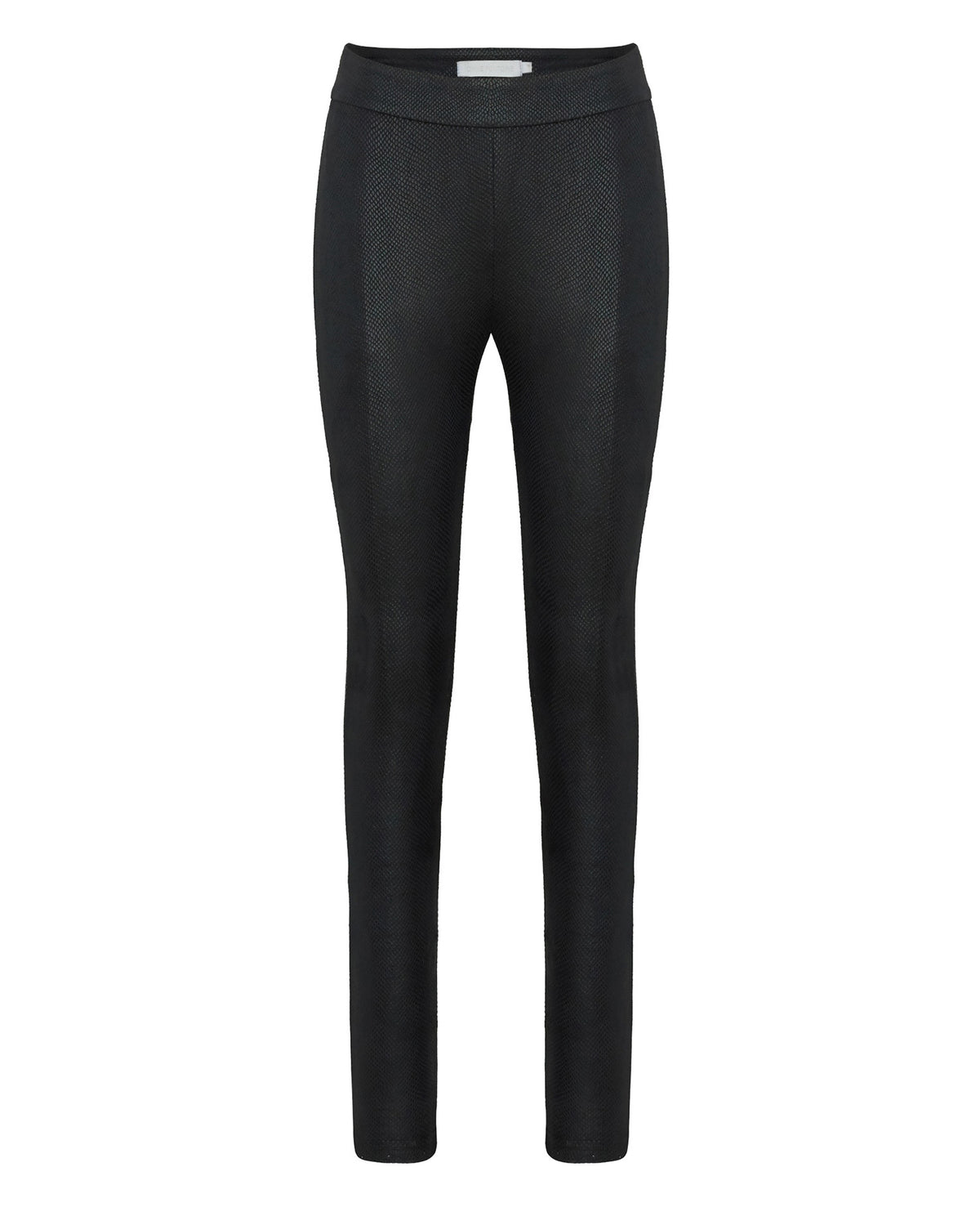 Black / Legging Darko