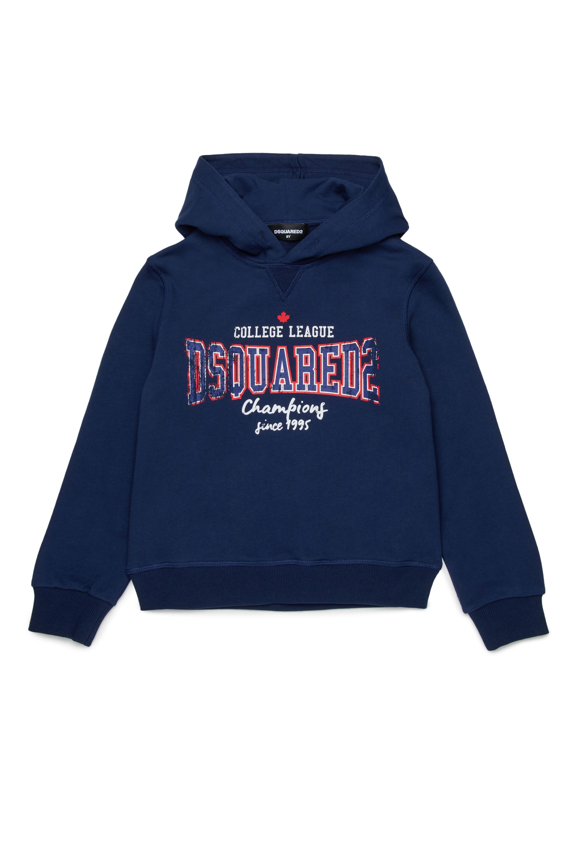 Printed hoodie - Medieval Blue