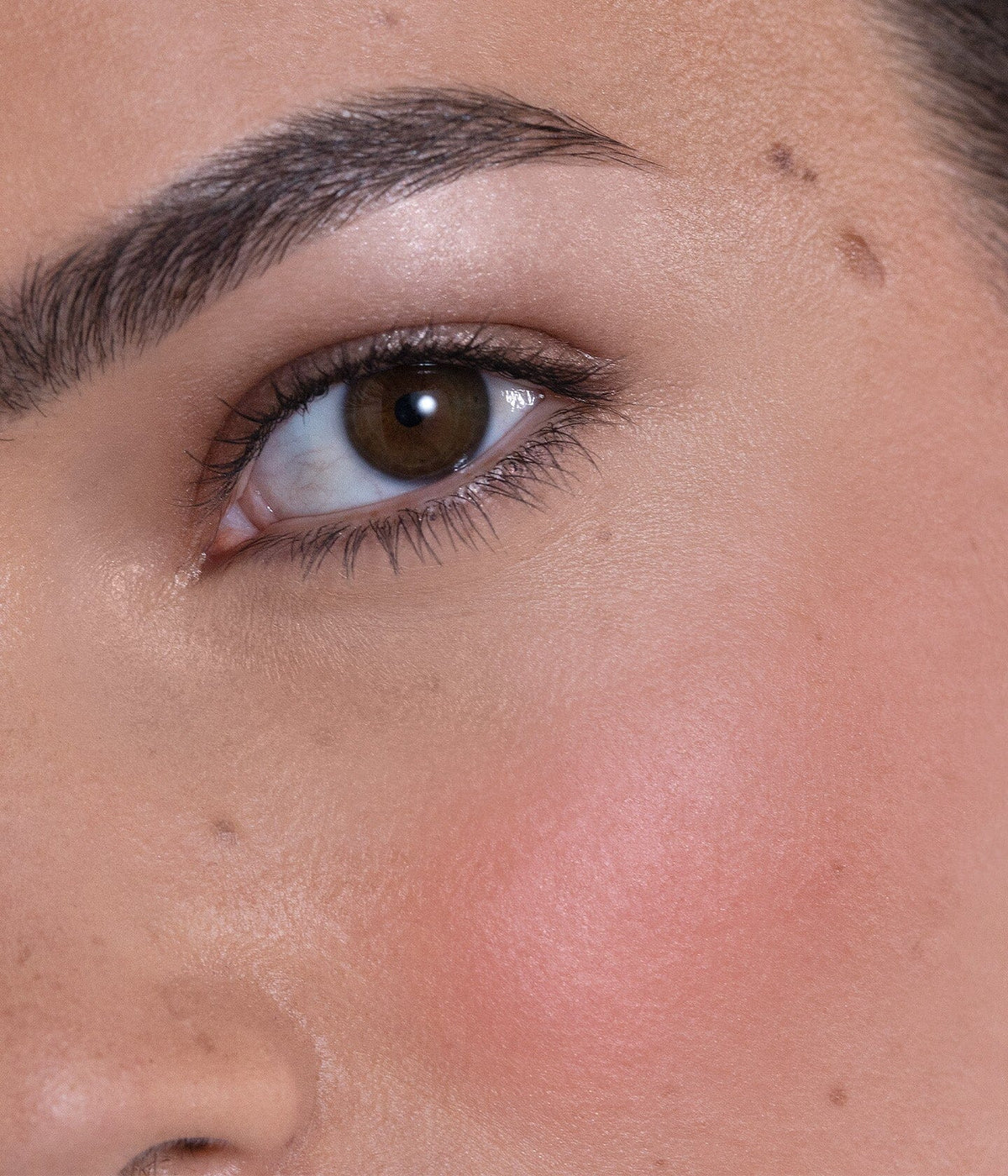Le blush stick - Brique