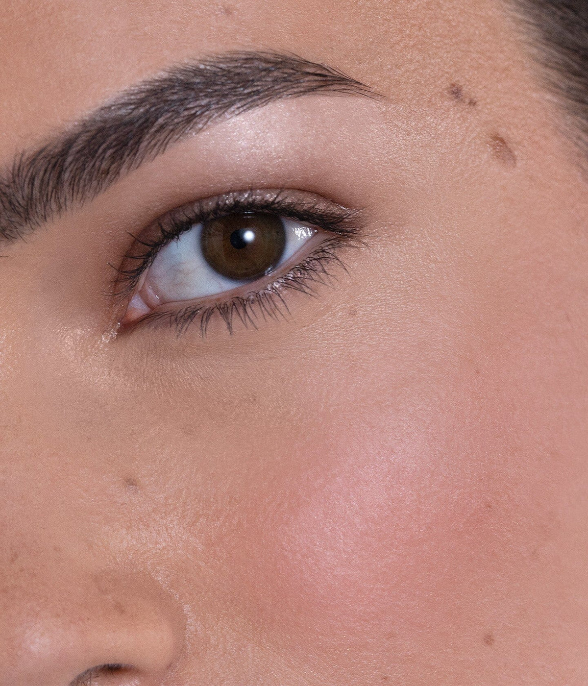 Le blush stick - Nude