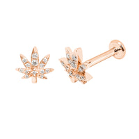 PIERCING ATTITUDE OR ROSE