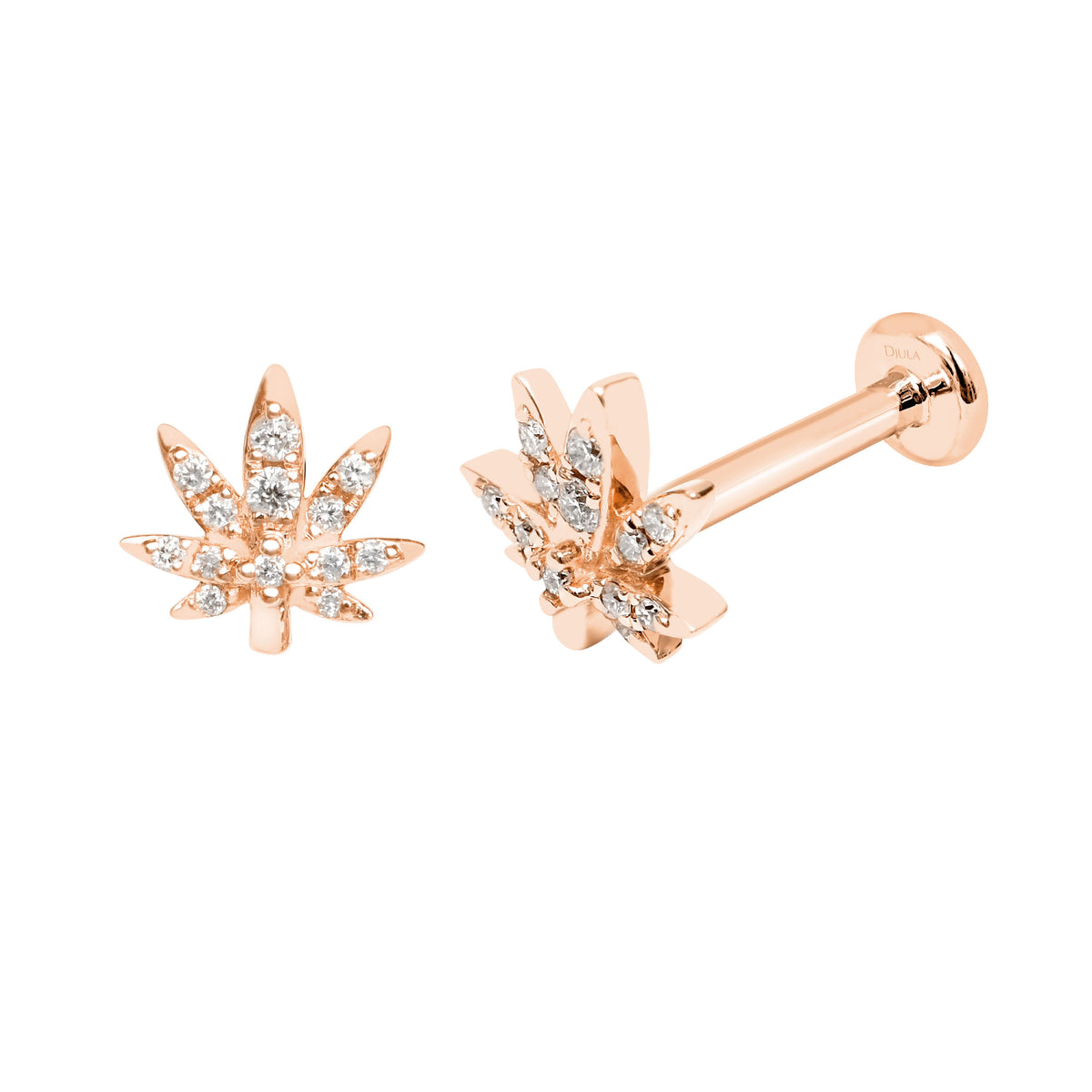 PIERCING ATTITUDE OR ROSE