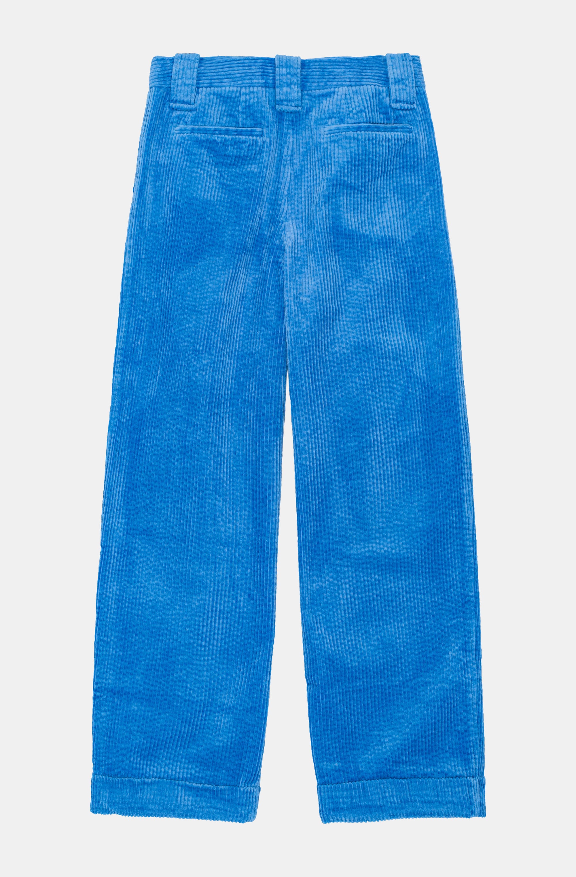 Pantalon plissé ample en velours côtelé - Silver Lake Blue