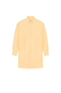Shirting Dress