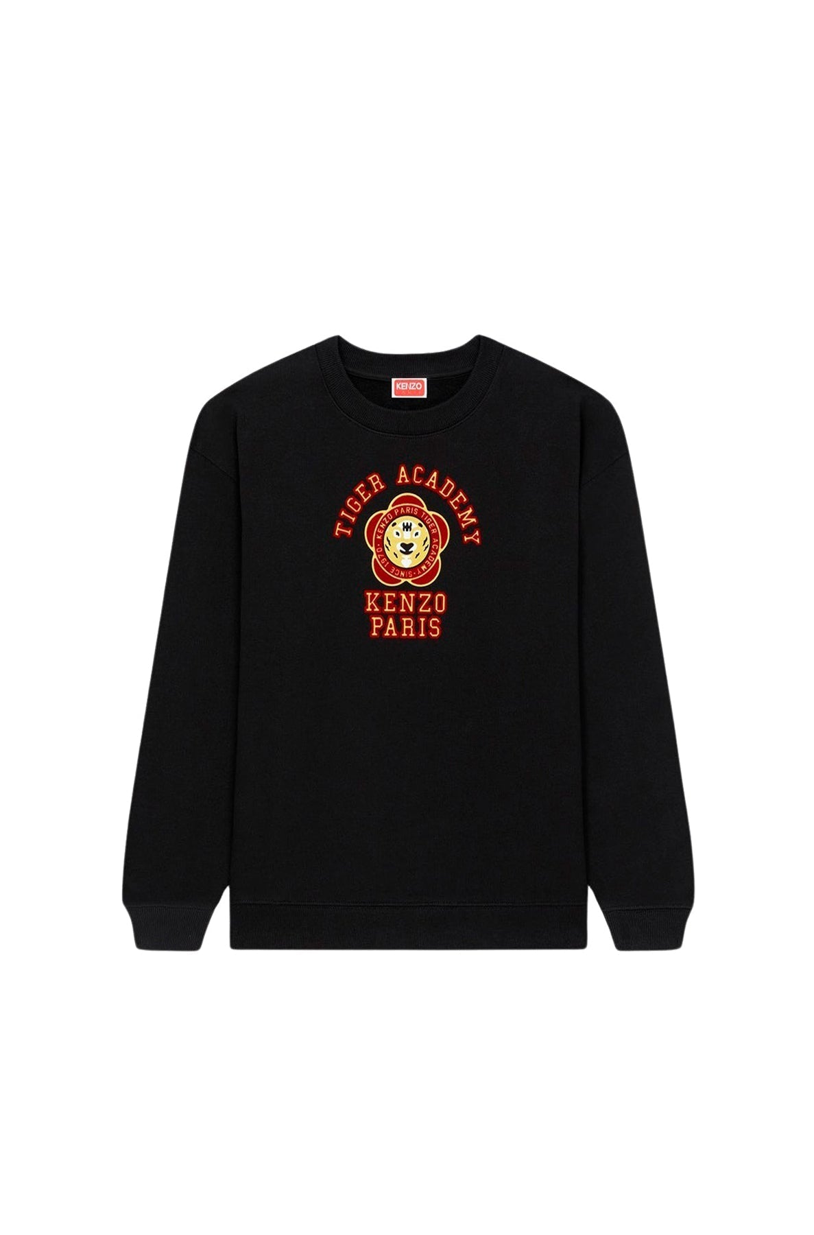 Graphic Regular Sweatshrt