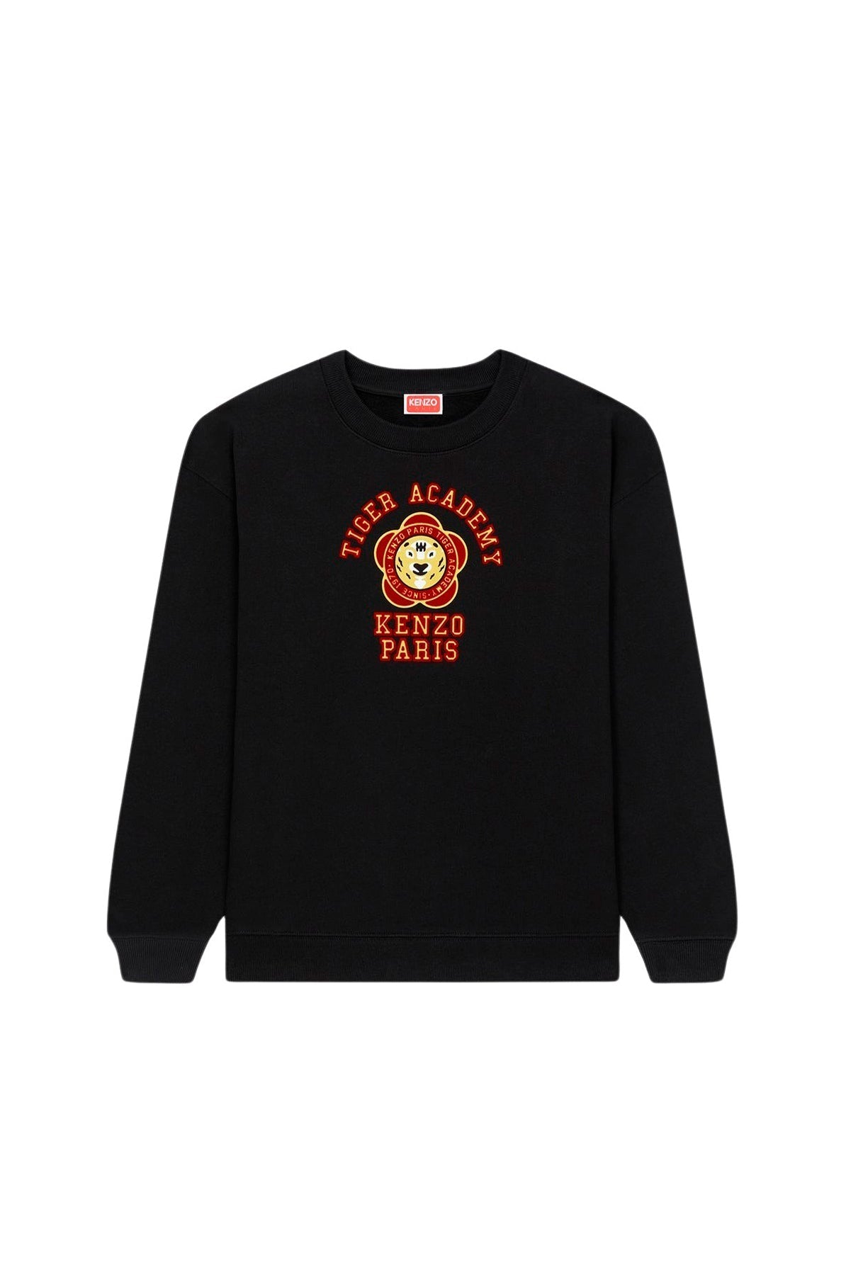 Graphic Regular Sweatshrt