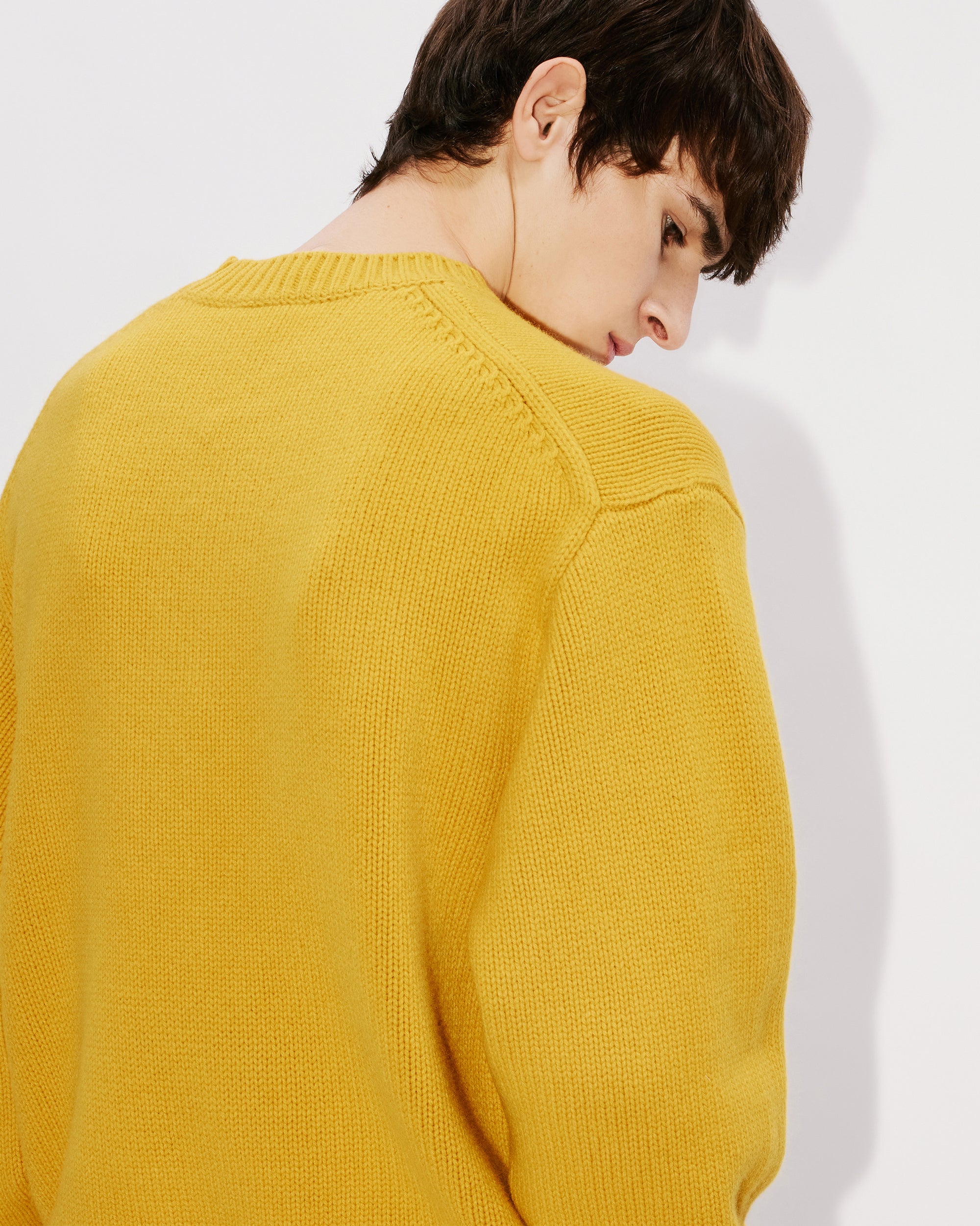 Kenzo Kingyo' embroidered jumper in wool - Honey