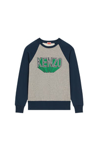 3D raglan sweatshirt - Pearl Grey