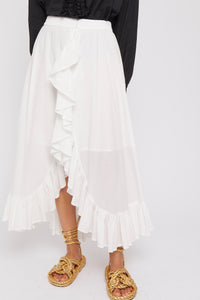 ZNOSTOCK_PINK SKIRT FERN - Pink