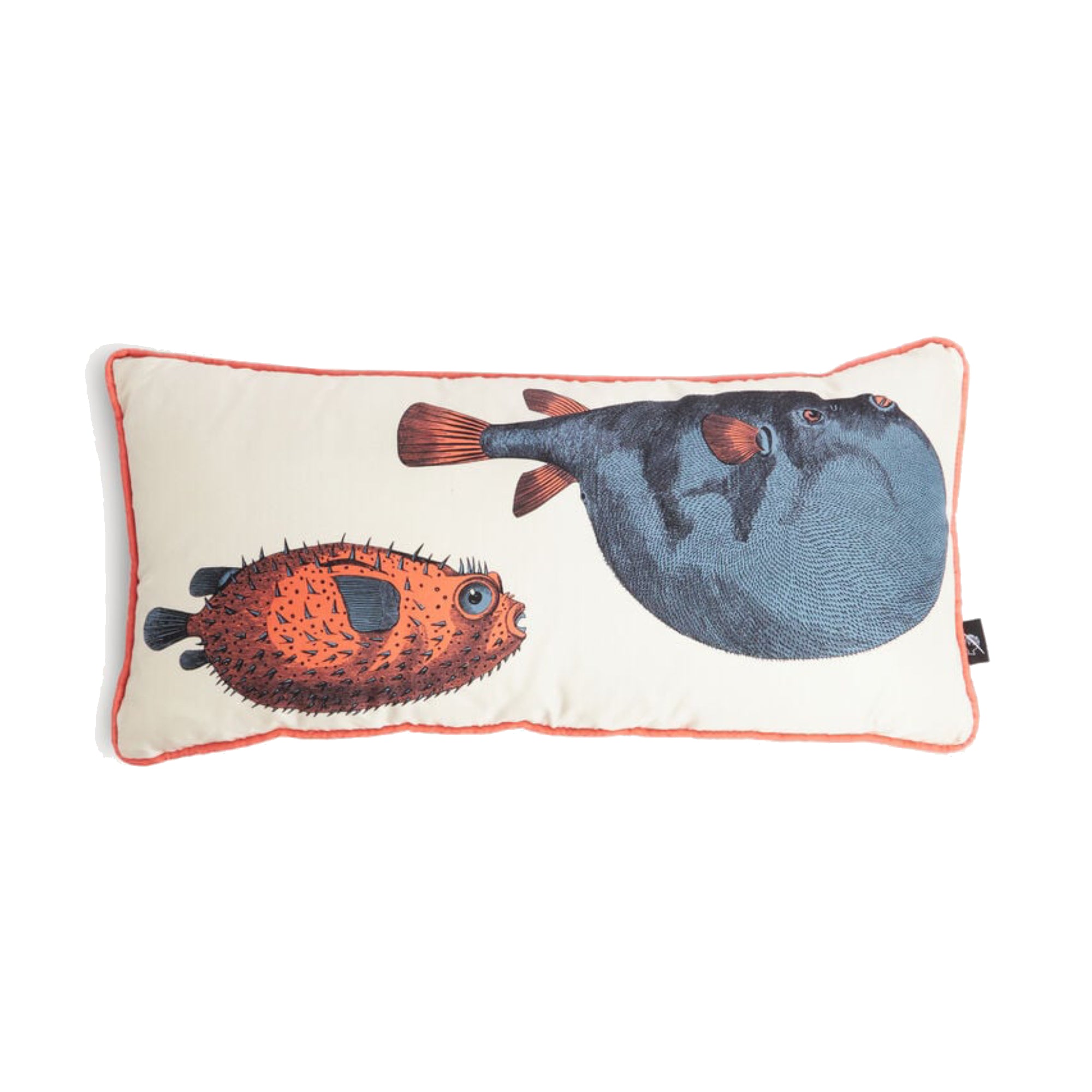 Pesci cushion - Multicolore