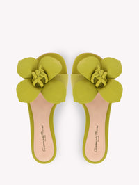 LUCILLA 05