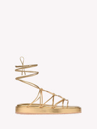 MINAS FLATFORM