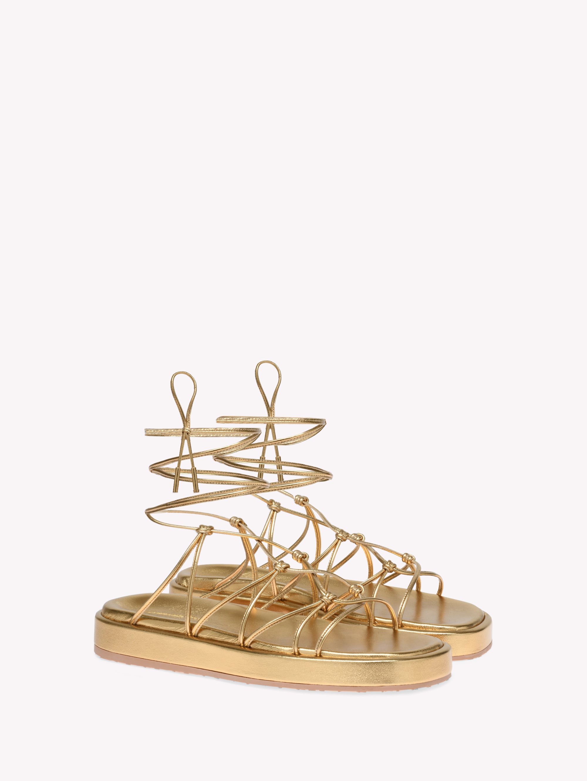 MINAS FLATFORM