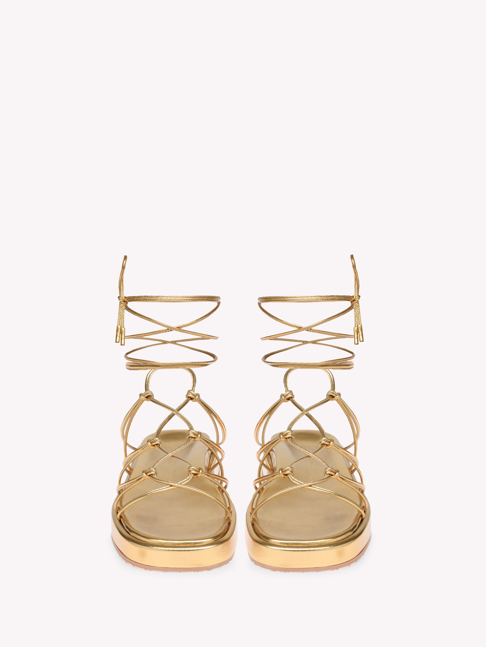 MINAS FLATFORM