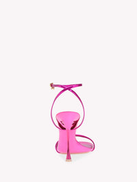 SPICE RIBBON