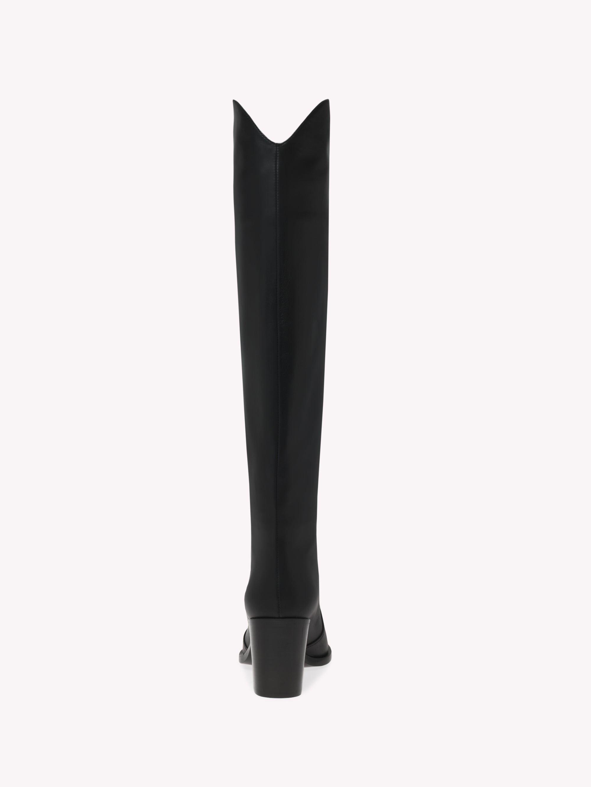 Bottes Denver 70 en cuir lisse - Noir