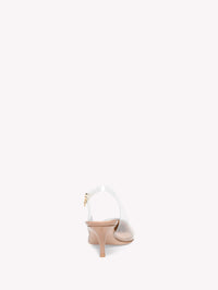 PLEXI SLING 55