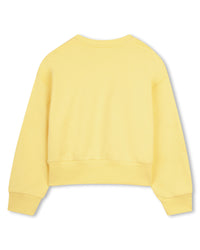 Sweatshirt à manches à coutures arrondies - Fenouil