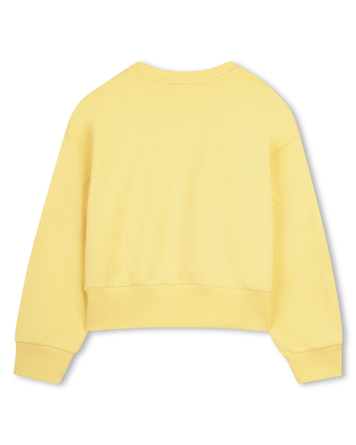 Sweatshirt à manches à coutures arrondies - Fenouil