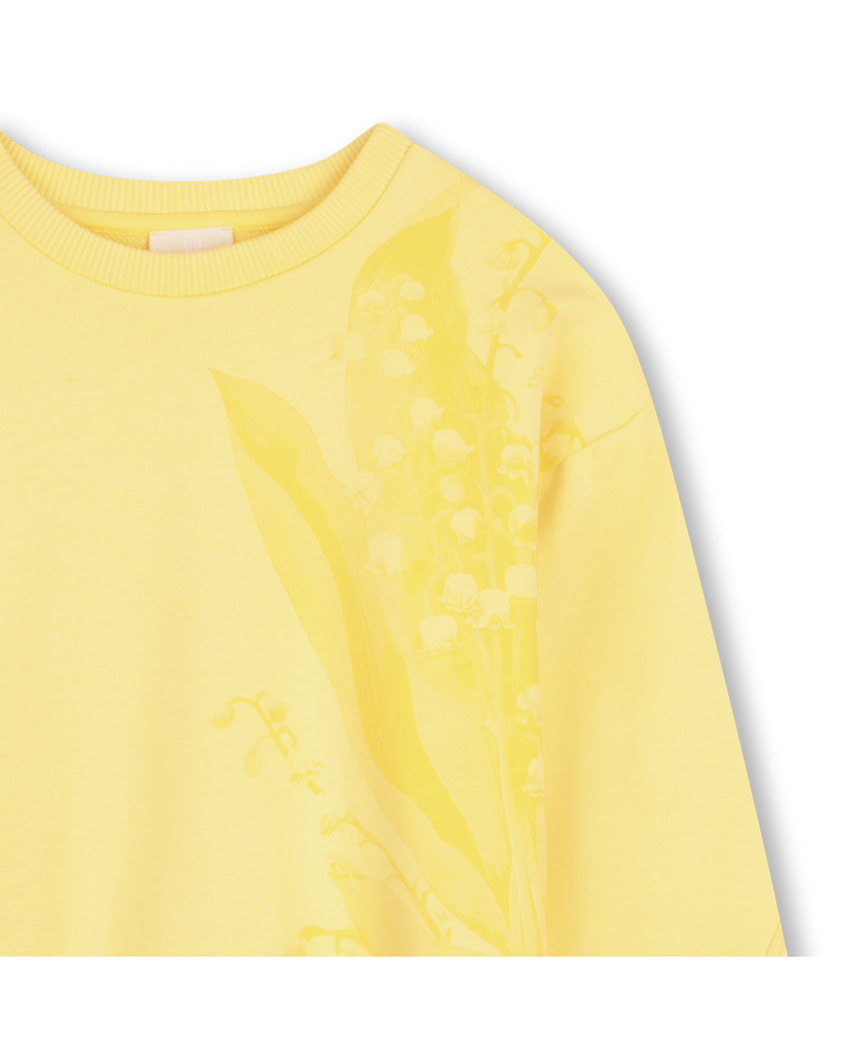 Sweatshirt à manches à coutures arrondies - Fenouil