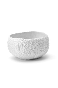 Petit bol Mojave Haas Brothers en porcelaine - Blanc