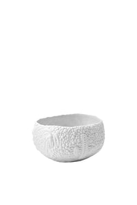 Petite coupe Haas Mojave en porcelaine - Blanc
